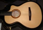 fender-taylor-002-800