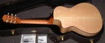 fender-taylor-003-800