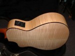 fender-taylor-004-800